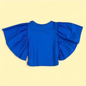 Zara Blue Top with Ruffled Sleeve